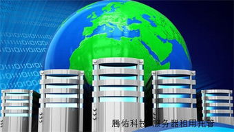 河南100M服務器租用指南 價格解析與優質服務商推薦